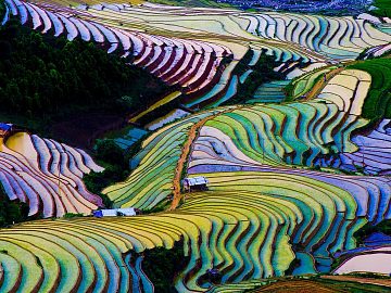 Zdjęcie kierunku: Da Nang